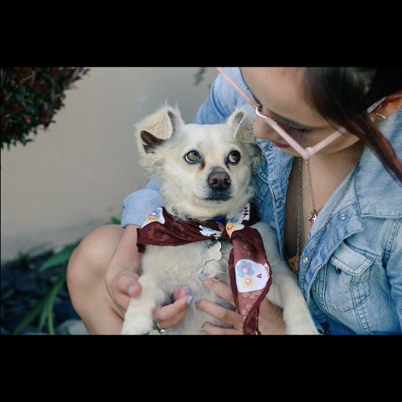 Meet your Posher, Cat - Picture 4 of 7